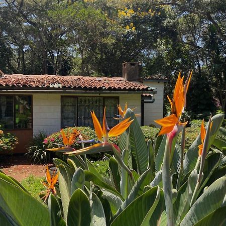 Cottage In Paradisiacal Garden Nairobi Exterior foto