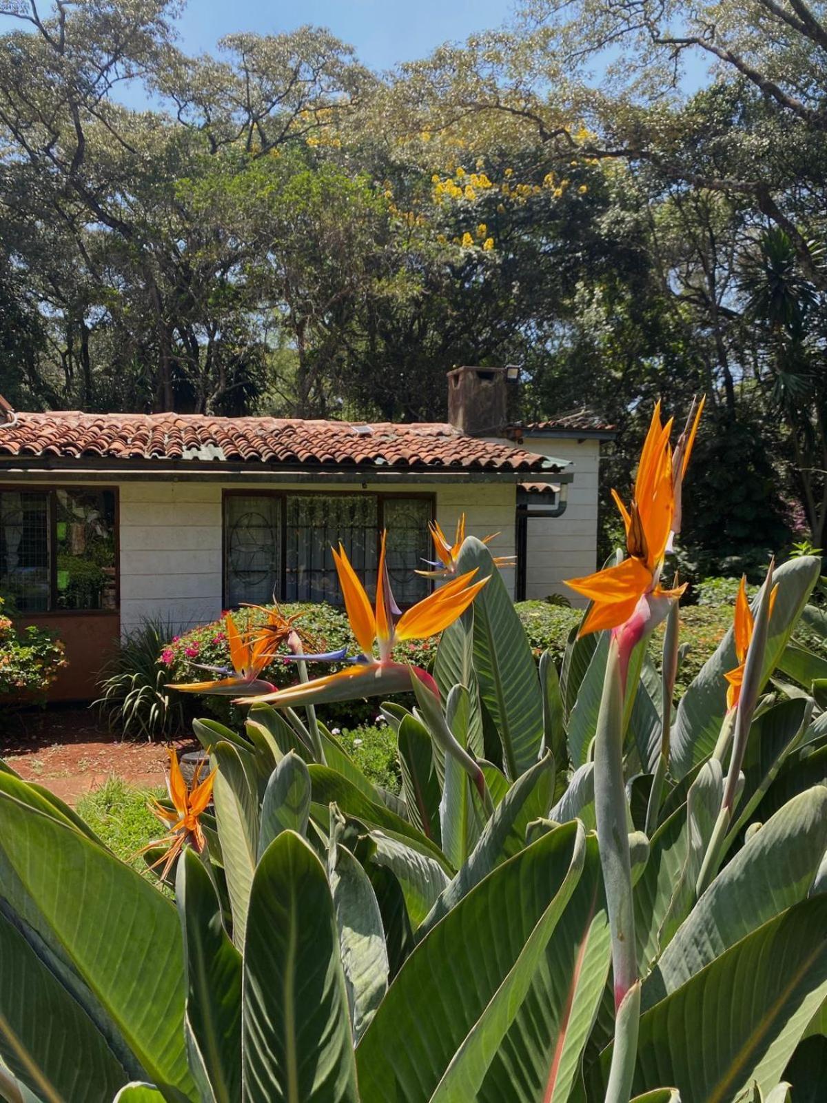 Cottage In Paradisiacal Garden Nairobi Exterior foto